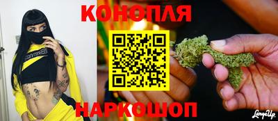 метадон Тула