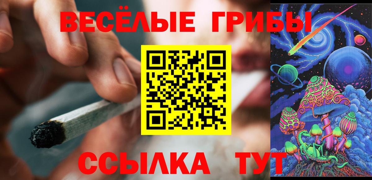 Галлюциногенные грибы прущие грибы  Вход с VPN  Новочебоксарск 